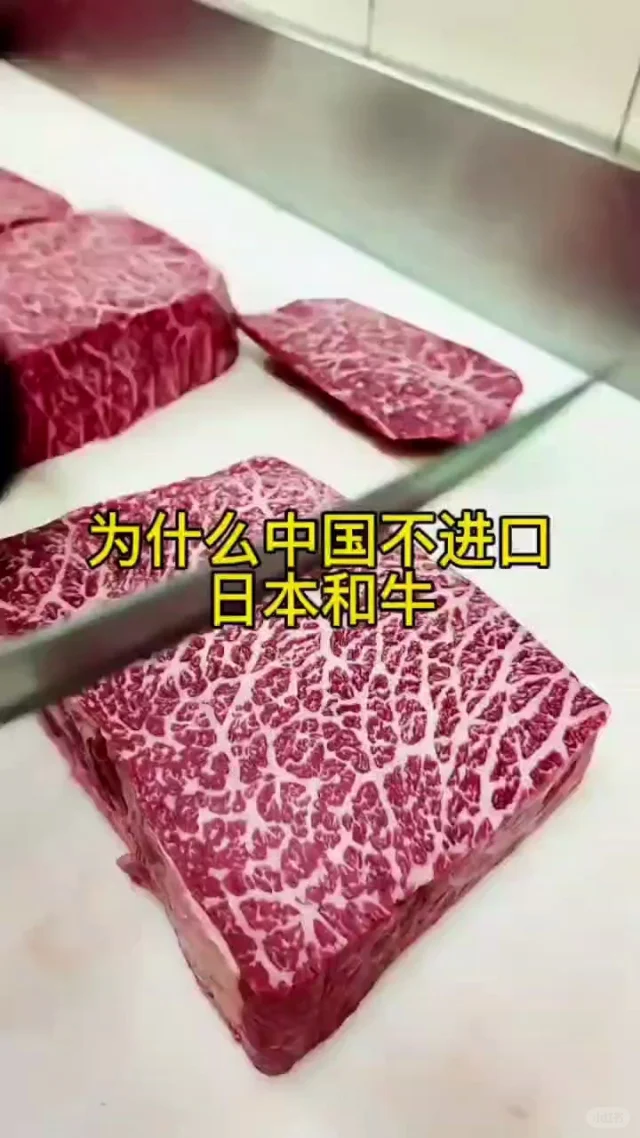 为什么中国不进口日本和牛